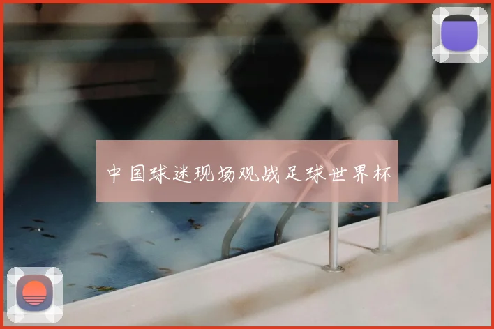 中国球迷现场观战足球世界杯