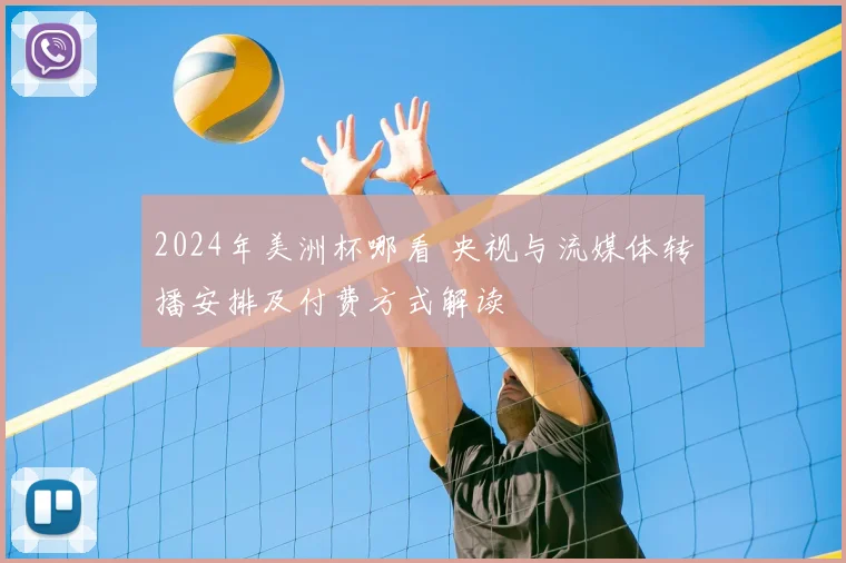 2024年美洲杯哪看 央视与流媒体转播安排及付费方式解读