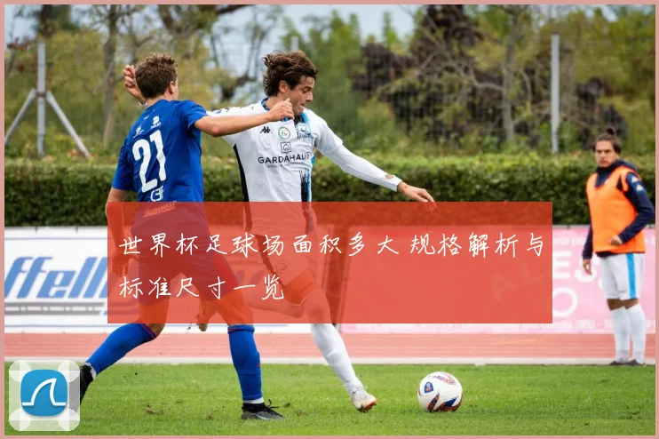 世界杯足球场面积多大 规格解析与标准尺寸一览