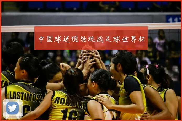 中国球迷现场观战足球世界杯