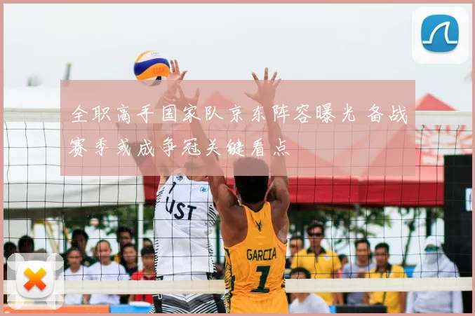 全职高手国家队京东阵容曝光 备战赛季或成争冠关键看点